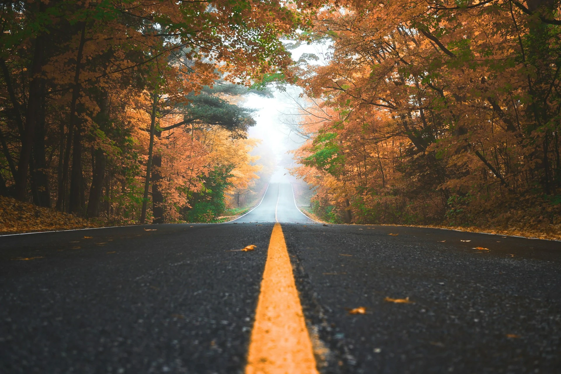 Diving deep(er) into Web Development | <p>What started as a small project to add comments on my static blog, ballooned in scope big time.</p>
