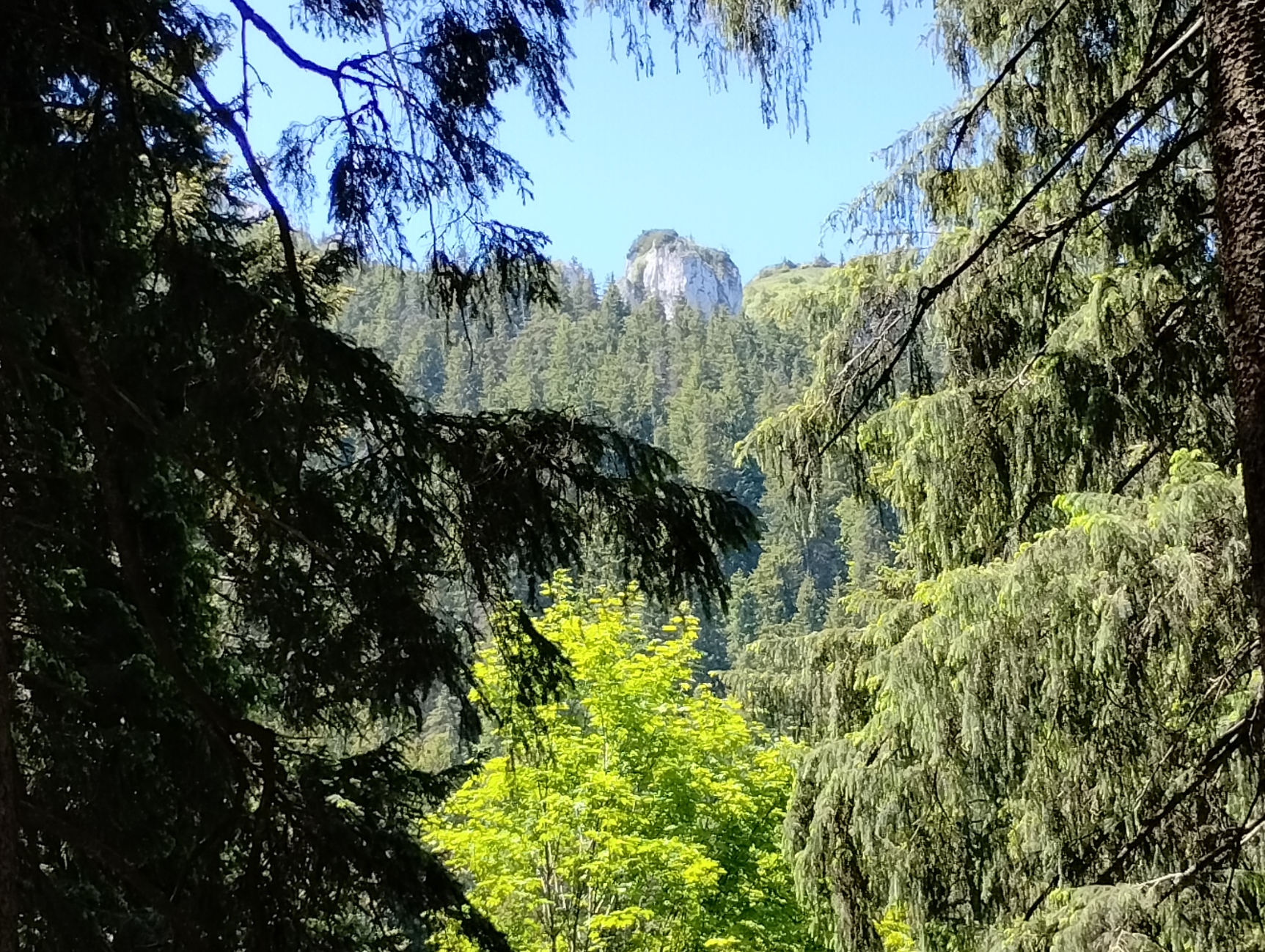 Seven Stairs Cannyon peak View. Somewhere on the Seven Stairs Cannyon trail in Romania, showing the peak.